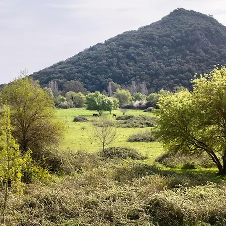 Apartamento Jardins De Minelle
